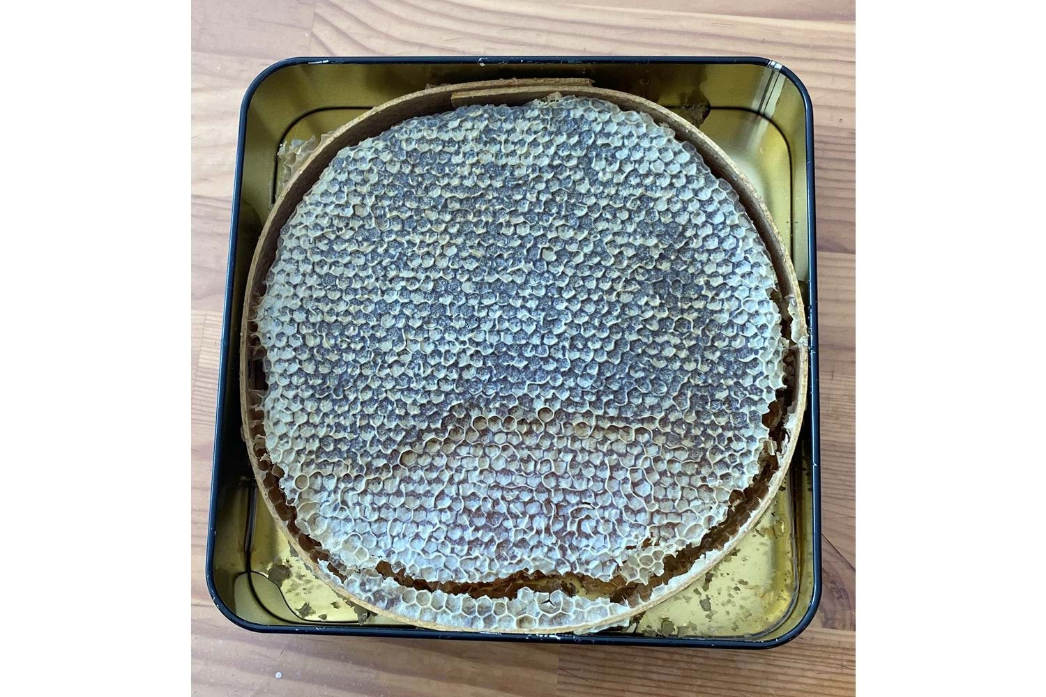 Çıldır Karakovan Dağ Balı - 1.5KG